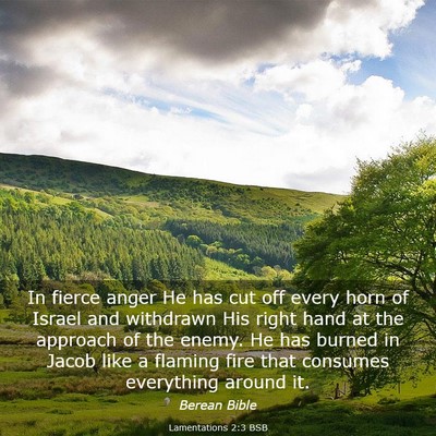 Picture 03 - Lamentations 2:3 BSB - In fierce anger He has cut off every horn of - Bible Verse Picture