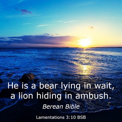 Picture 03 - Lamentations 3:10 BSB - He is a bear lying in wait, a lion hiding in - Bible Verse Picture
