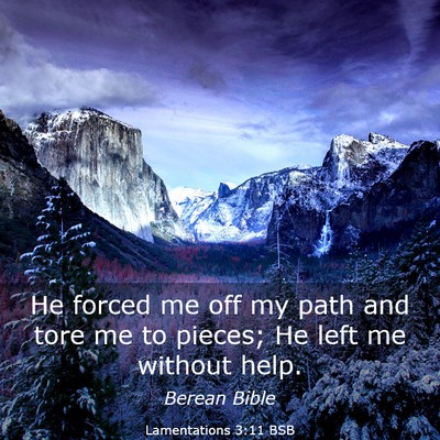 Picture 03 - Lamentations 3:11 BSB - He forced me off my path and tore me to pieces; - Bible Verse Picture