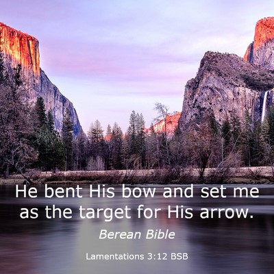 Picture 03 - Lamentations 3:12 BSB - He bent His bow and set me as the target for His - Bible Verse Picture