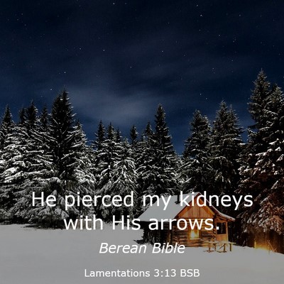 Picture 03 - Lamentations 3:13 BSB - He pierced my kidneys with His - Bible Verse Picture