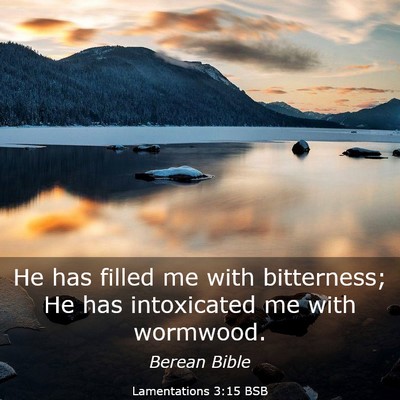 Picture 03 - Lamentations 3:15 BSB - He has filled me with bitterness; He has - Bible Verse Picture