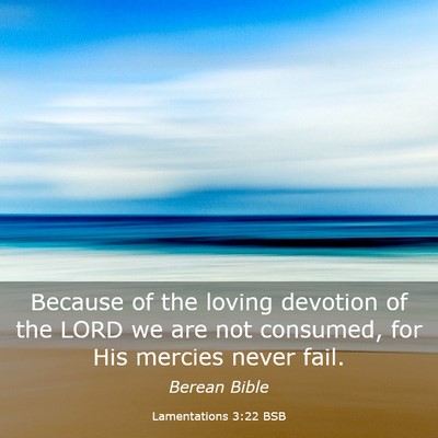 Picture 03 - Lamentations 3:22 BSB - Because of the loving devotion of the LORD we are - Bible Verse Picture