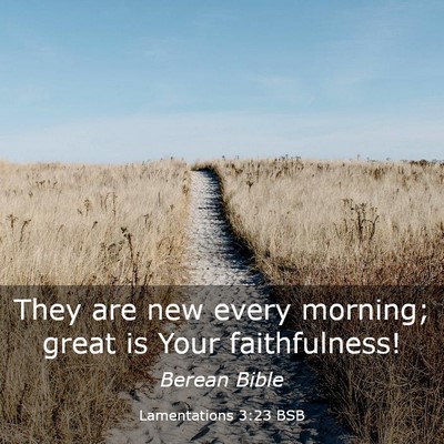 Picture 03 - Lamentations 3:23 BSB - They are new every morning; great is Your - Bible Verse Picture