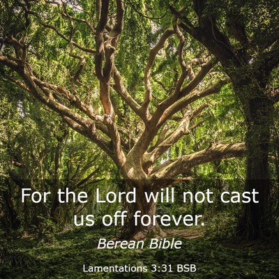 Picture 03 - Lamentations 3:31 BSB - For the Lord will not cast us off - Bible Verse Picture