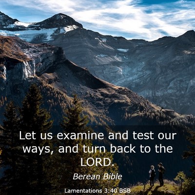 Picture 03 - Lamentations 3:40 BSB - Let us examine and test our ways, and turn back - Bible Verse Picture