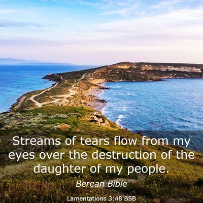 Picture 03 - Lamentations 3:48 BSB - Streams of tears flow from my eyes over the - Bible Verse Picture