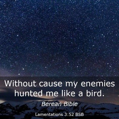 Picture 03 - Lamentations 3:52 BSB - Without cause my enemies hunted me like a - Bible Verse Picture
