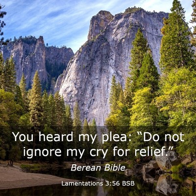 Picture 03 - Lamentations 3:56 BSB - You heard my plea: “Do not ignore my cry for - Bible Verse Picture