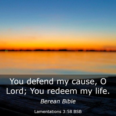 Picture 03 - Lamentations 3:58 BSB - You defend my cause, O Lord; You redeem my - Bible Verse Picture