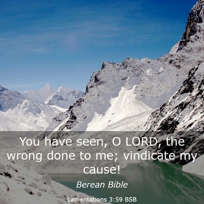 Picture 03 - Lamentations 3:59 BSB - You have seen, O LORD, the wrong done to me; - Bible Verse Picture
