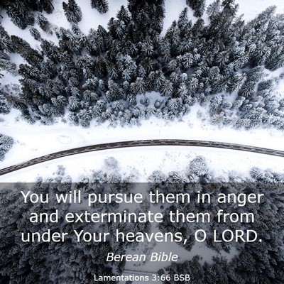 Picture 03 - Lamentations 3:66 BSB - You will pursue them in anger and exterminate - Bible Verse Picture