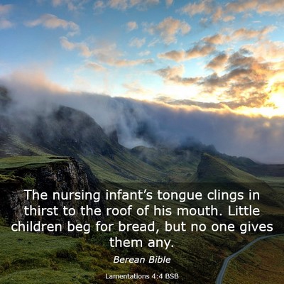 Picture 03 - Lamentations 4:4 BSB - The nursing infant’s tongue clings in thirst to - Bible Verse Picture