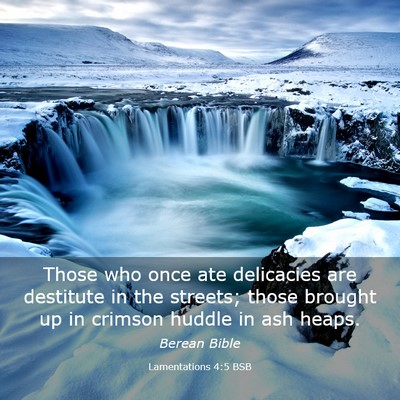 Picture 03 - Lamentations 4:5 BSB - Those who once ate delicacies are destitute in - Bible Verse Picture