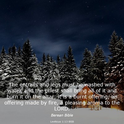 Picture 03 - Leviticus 1:13 BSB - The entrails and legs must be washed with water, - Bible Verse Picture