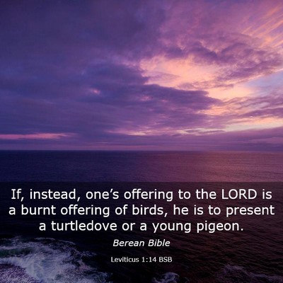 Picture 03 - Leviticus 1:14 BSB - If, instead, one’s offering to the LORD is a - Bible Verse Picture