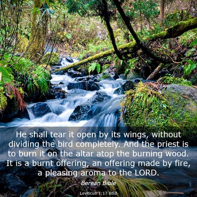 Picture 03 - Leviticus 1:17 BSB - He shall tear it open by its wings, without - Bible Verse Picture