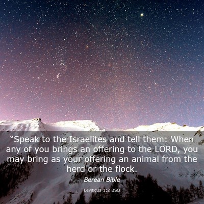 Picture 03 - Leviticus 1:2 BSB - “Speak to the Israelites and tell them: When - Bible Verse Picture