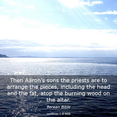 Picture 03 - Leviticus 1:8 BSB - Then Aaron’s sons the priests are to arrange - Bible Verse Picture