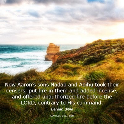 Picture 03 - Leviticus 10:1 BSB - Now Aaron’s sons Nadab and Abihu took their - Bible Verse Picture