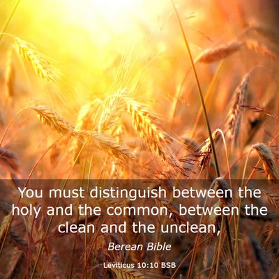 Picture 03 - Leviticus 10:10 BSB - You must distinguish between the holy and the - Bible Verse Picture
