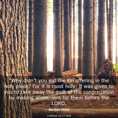 Picture 03 - Leviticus 10:17 BSB - “Why didn’t you eat the sin offering in the - Bible Verse Picture