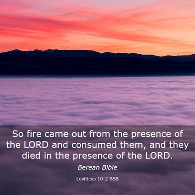 Picture 03 - Leviticus 10:2 BSB - So fire came out from the presence of the LORD - Bible Verse Picture