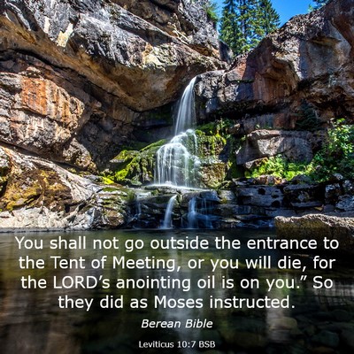 Picture 03 - Leviticus 10:7 BSB - You shall not go outside the entrance to the Tent - Bible Verse Picture