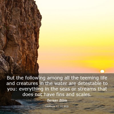 Picture 03 - Leviticus 11:10 BSB - But the following among all the teeming life and - Bible Verse Picture