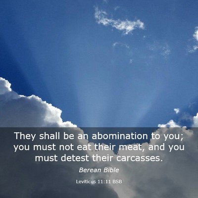 Picture 03 - Leviticus 11:11 BSB - They shall be an abomination to you; you must not - Bible Verse Picture