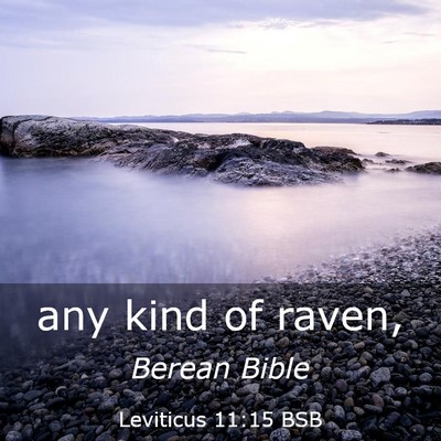 Picture 03 - Leviticus 11:15 BSB - any kind of - Bible Verse Picture