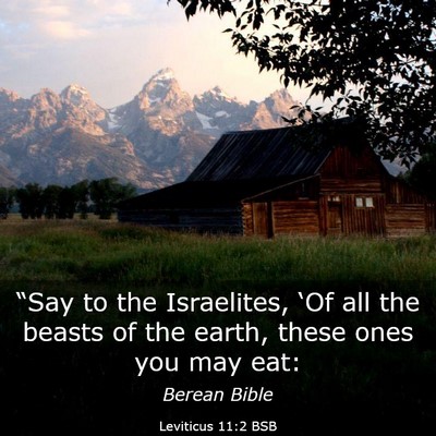 Picture 03 - Leviticus 11:2 BSB - “Say to the Israelites, ‘Of all the beasts of - Bible Verse Picture