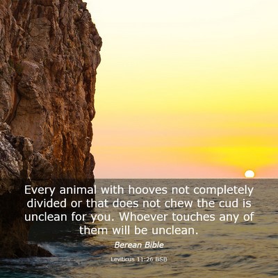 Picture 03 - Leviticus 11:26 BSB - Every animal with hooves not completely divided - Bible Verse Picture