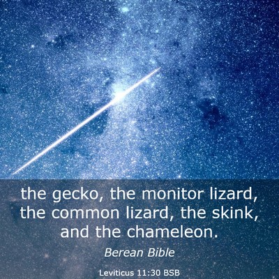 Picture 03 - Leviticus 11:30 BSB - the gecko, the monitor lizard, the common lizard, - Bible Verse Picture