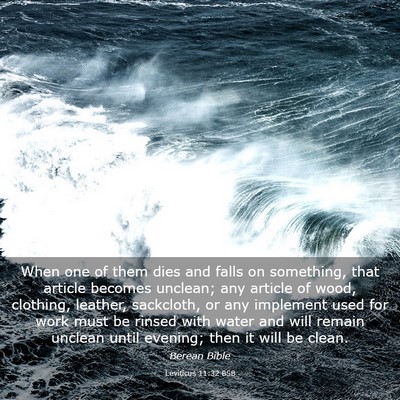 Picture 03 - Leviticus 11:32 BSB - When one of them dies and falls on something, - Bible Verse Picture