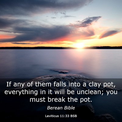 Picture 03 - Leviticus 11:33 BSB - If any of them falls into a clay pot, everything - Bible Verse Picture
