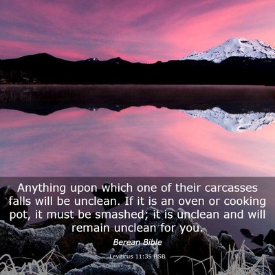 Picture 03 - Leviticus 11:35 BSB - Anything upon which one of their carcasses falls - Bible Verse Picture