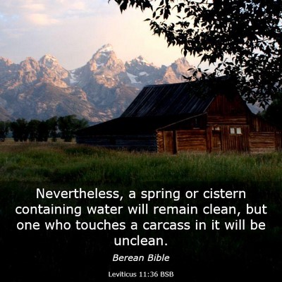 Picture 03 - Leviticus 11:36 BSB - Nevertheless, a spring or cistern containing - Bible Verse Picture
