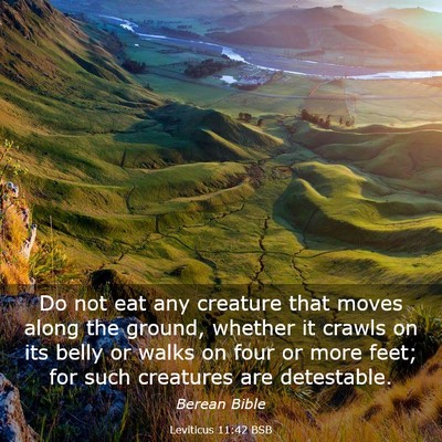 Picture 03 - Leviticus 11:42 BSB - Do not eat any creature that moves along the - Bible Verse Picture