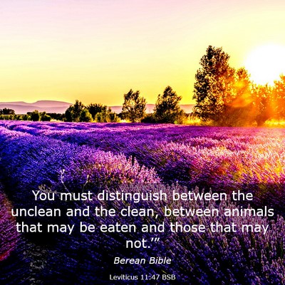 Picture 03 - Leviticus 11:47 BSB - You must distinguish between the unclean and the - Bible Verse Picture