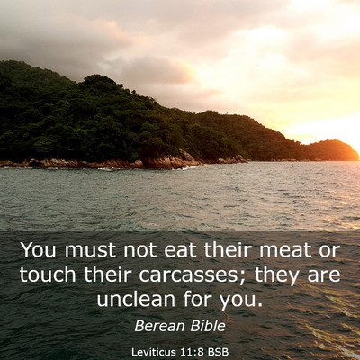 Picture 03 - Leviticus 11:8 BSB - You must not eat their meat or touch their - Bible Verse Picture