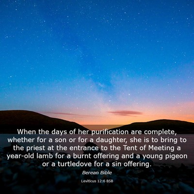 Picture 03 - Leviticus 12:6 BSB - When the days of her purification are complete, - Bible Verse Picture