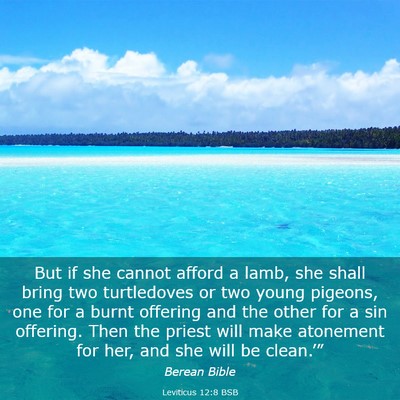 Picture 03 - Leviticus 12:8 BSB - But if she cannot afford a lamb, she shall bring - Bible Verse Picture