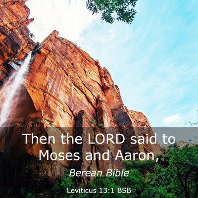 Picture 03 - Leviticus 13:1 BSB - Then the LORD said to Moses and - Bible Verse Picture