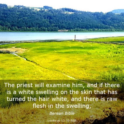 Picture 03 - Leviticus 13:10 BSB - The priest will examine him, and if there is a - Bible Verse Picture