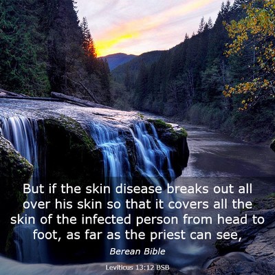 Picture 03 - Leviticus 13:12 BSB - But if the skin disease breaks out all over his - Bible Verse Picture