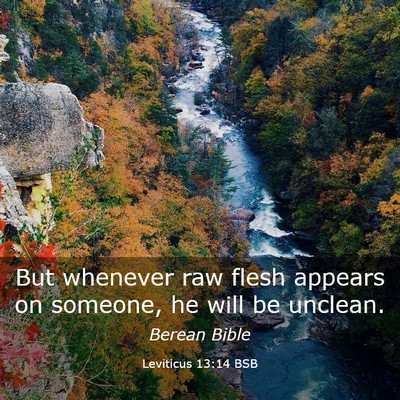 Picture 03 - Leviticus 13:14 BSB - But whenever raw flesh appears on someone, he - Bible Verse Picture