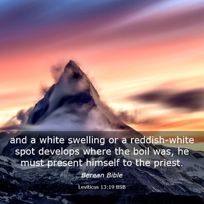 Picture 03 - Leviticus 13:19 BSB - and a white swelling or a reddish-white spot - Bible Verse Picture