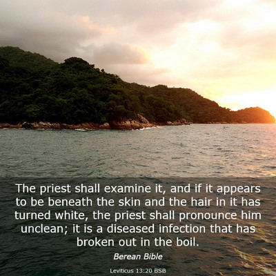 Picture 03 - Leviticus 13:20 BSB - The priest shall examine it, and if it appears to - Bible Verse Picture