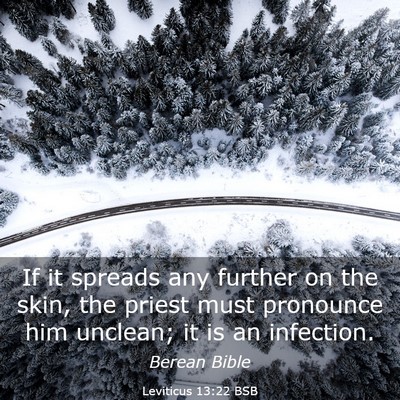 Picture 03 - Leviticus 13:22 BSB - If it spreads any further on the skin, the priest - Bible Verse Picture